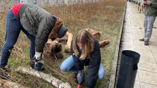 2 Studentinnen legen Sandarium auf Dachterasse an